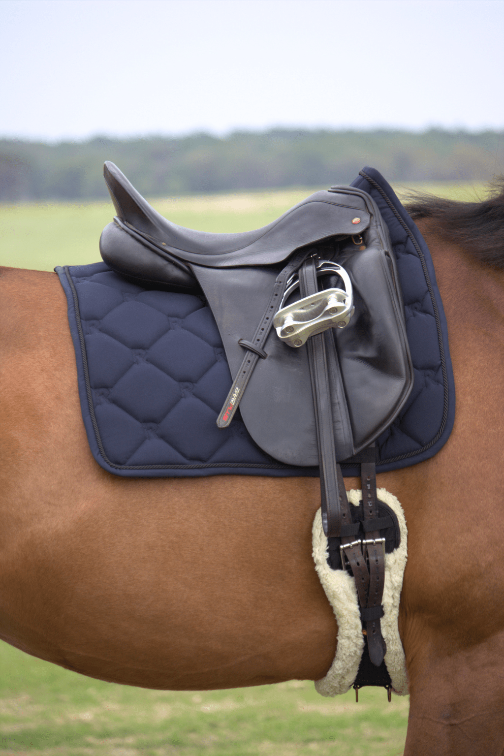 PRO Dressage Saddle Pad