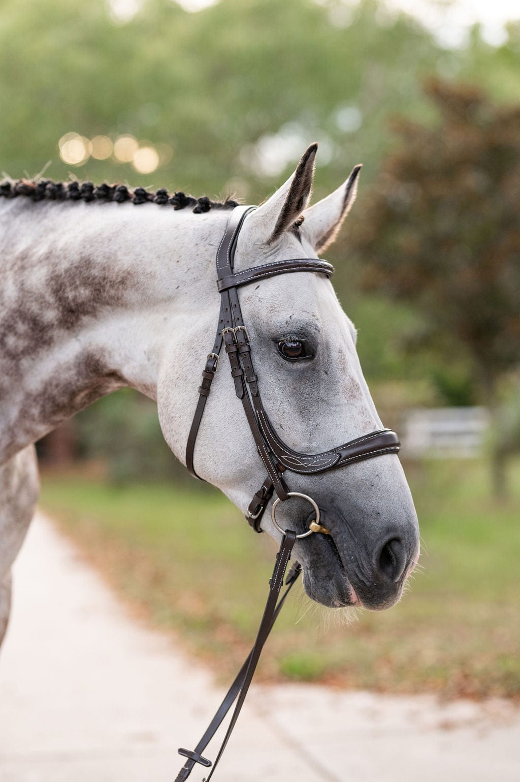 F.R.E Fancy Stitch Ergonomic Bridle