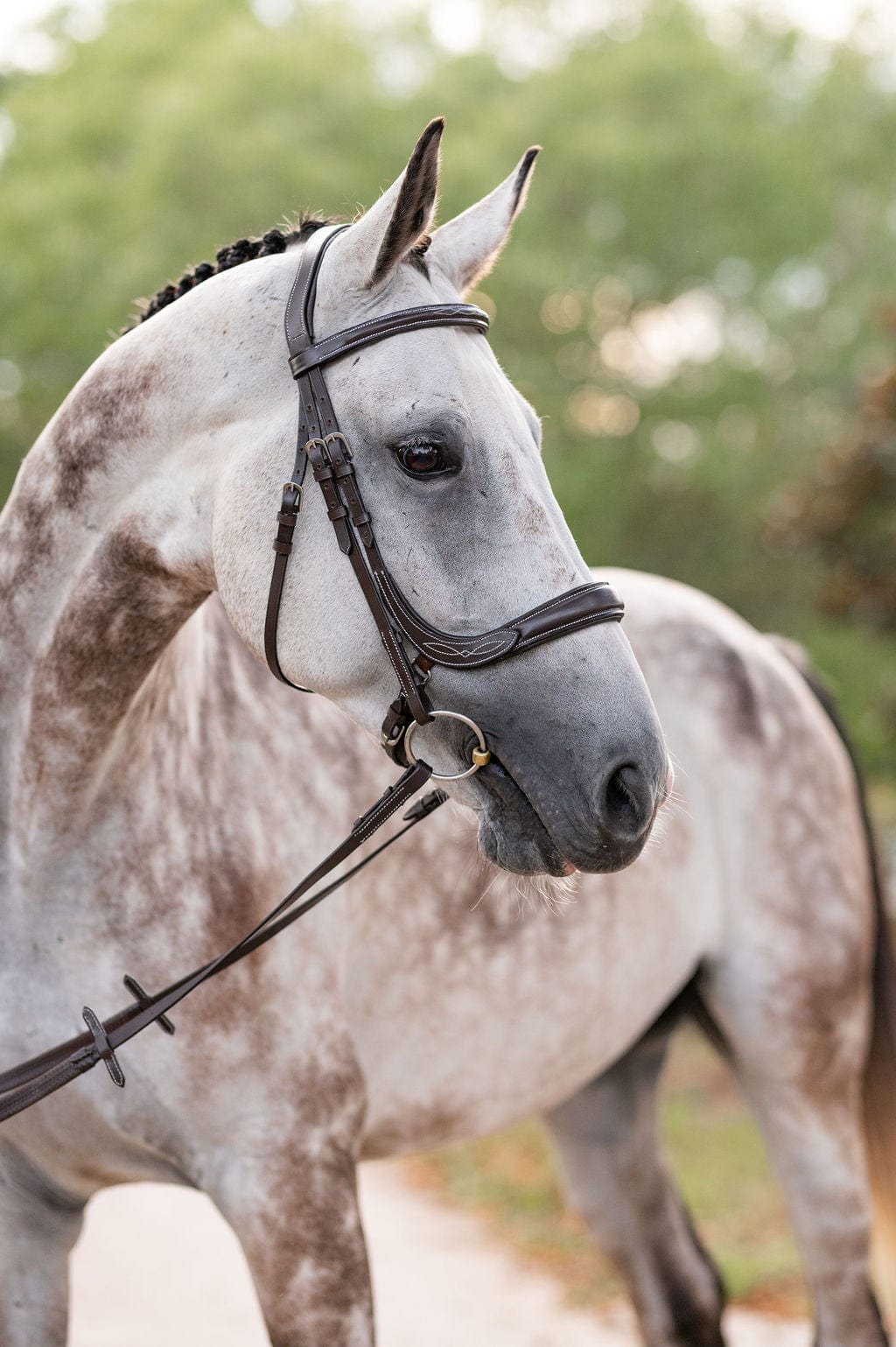 F.R.E Fancy Stitch Ergonomic Bridle