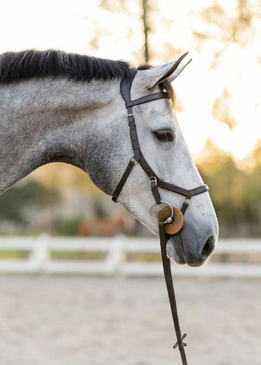 A grey horse wearing a black Micklem style ergonomic bridle with rubber reins, standing outdoors.