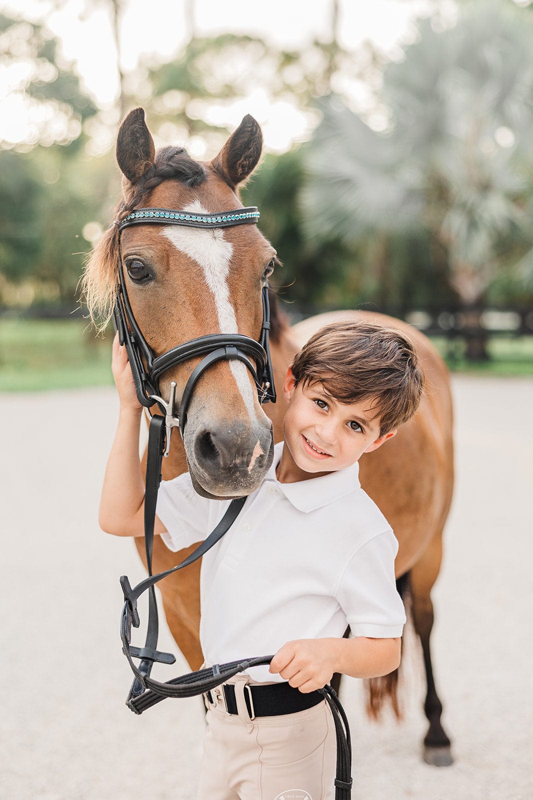 Light Sapphire Browband