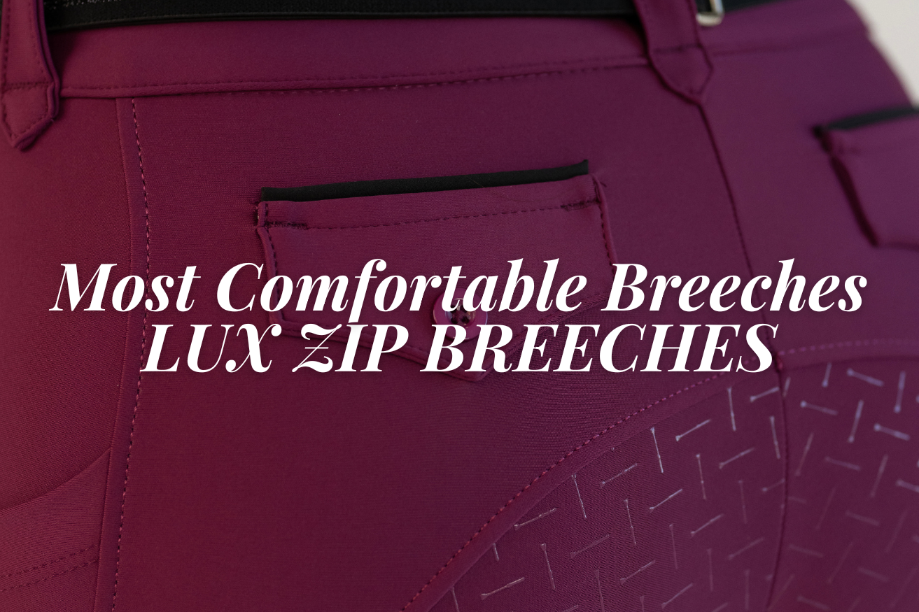 Most comfortable riding breeches