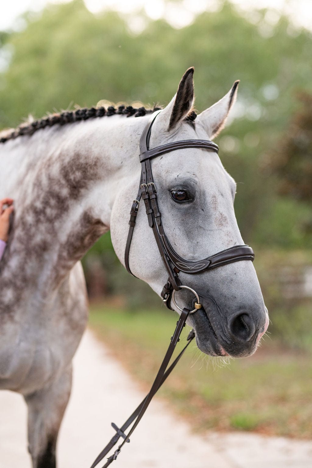 F.R.E Fancy Stitch Ergonomic Bridle