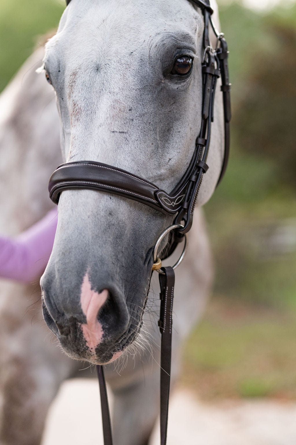 F.R.E Fancy Stitch Ergonomic Bridle