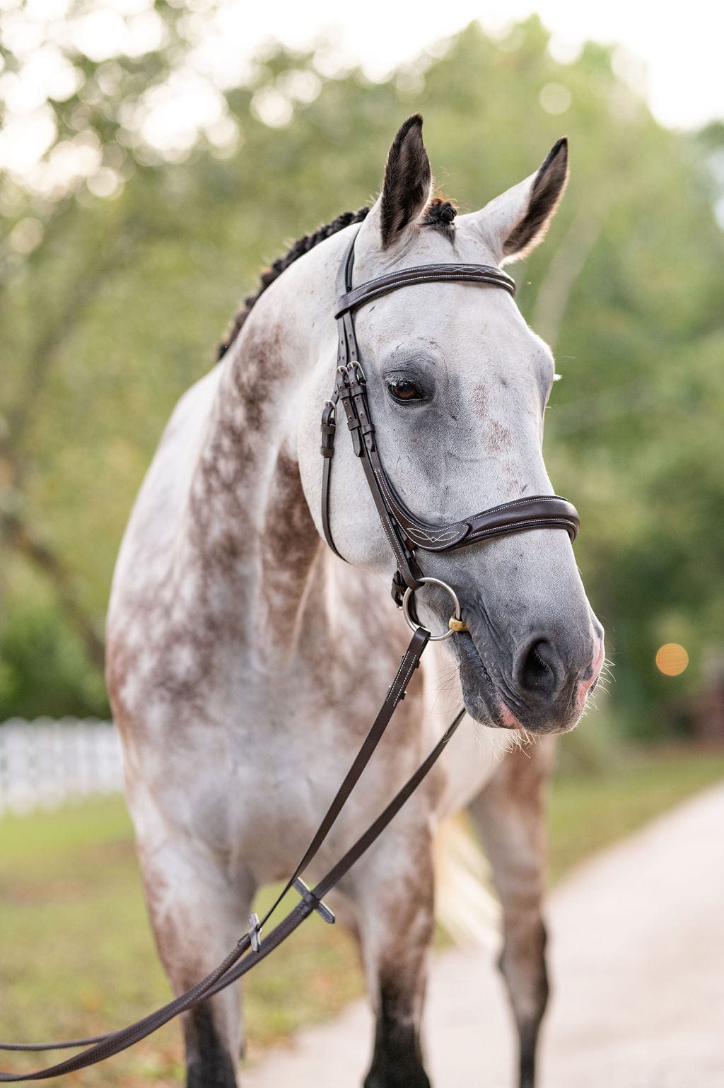 F.R.E Fancy Stitch Ergonomic Bridle