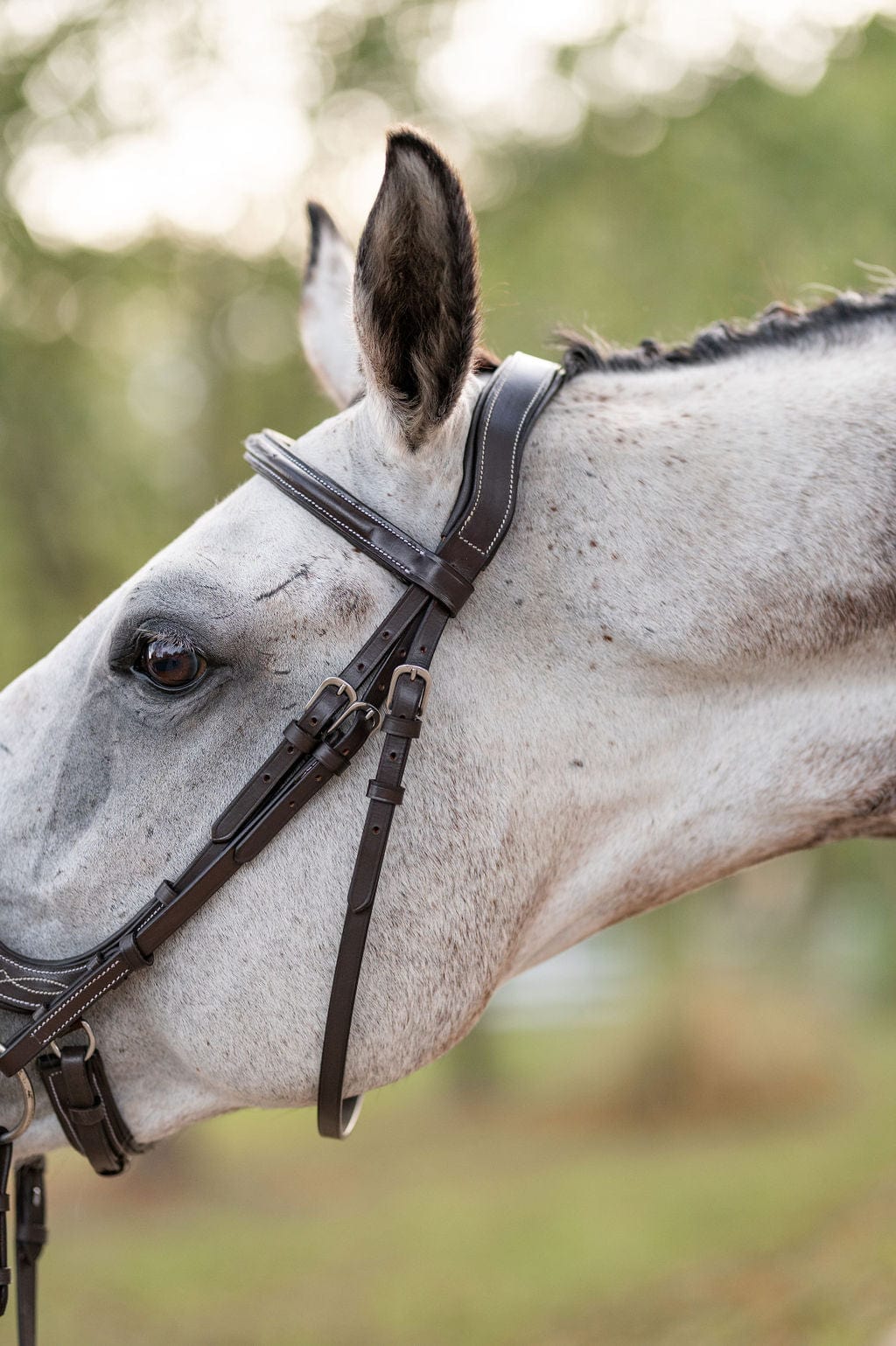 F.R.E Fancy Stitch Ergonomic Bridle