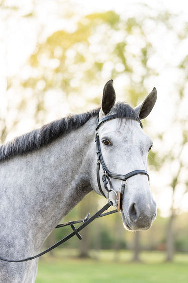 F.R.E Micklem Style Ergonomic Bridle | Black