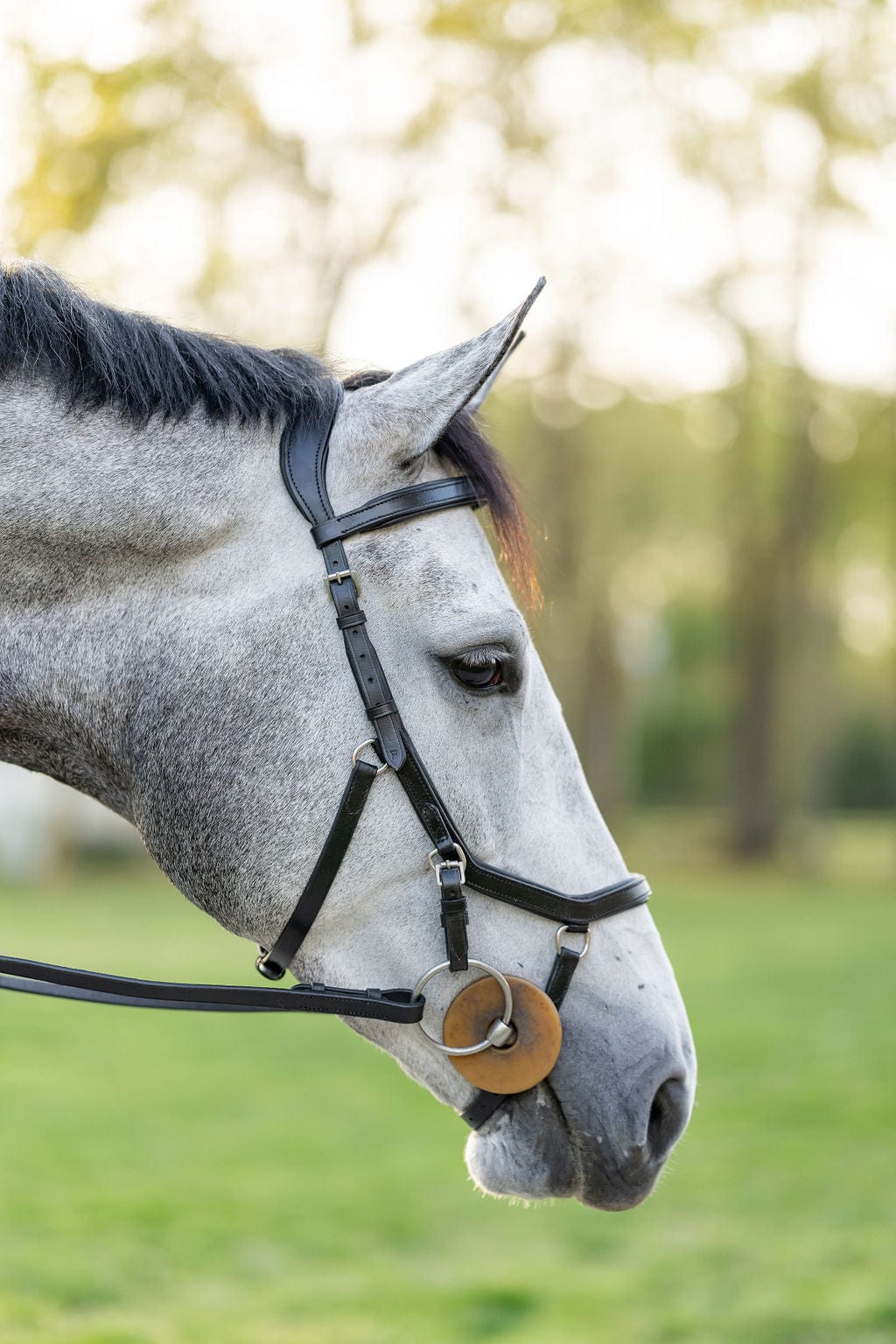 F.R.E Micklem Style Ergonomic Bridle Black/Brown