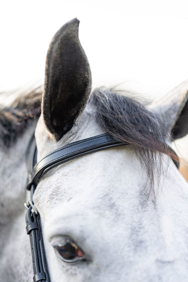 F.R.E Micklem Style Ergonomic Bridle | Black