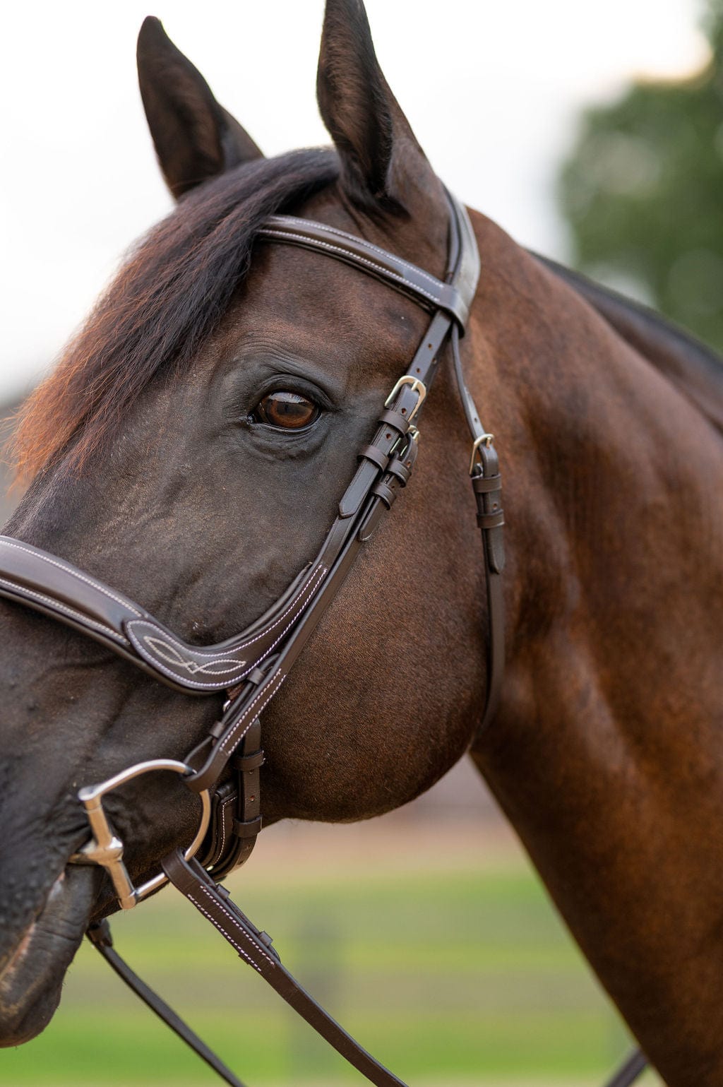 F.R.E Fancy Stitch Ergonomic Bridle