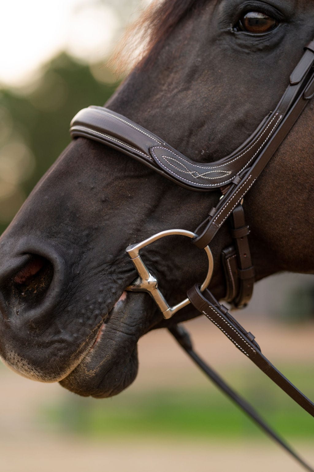 F.R.E Fancy Stitch Ergonomic Bridle