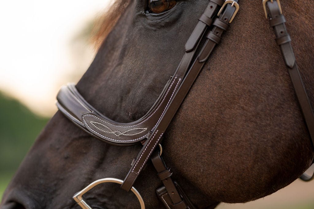 F.R.E Fancy Stitch Ergonomic Bridle