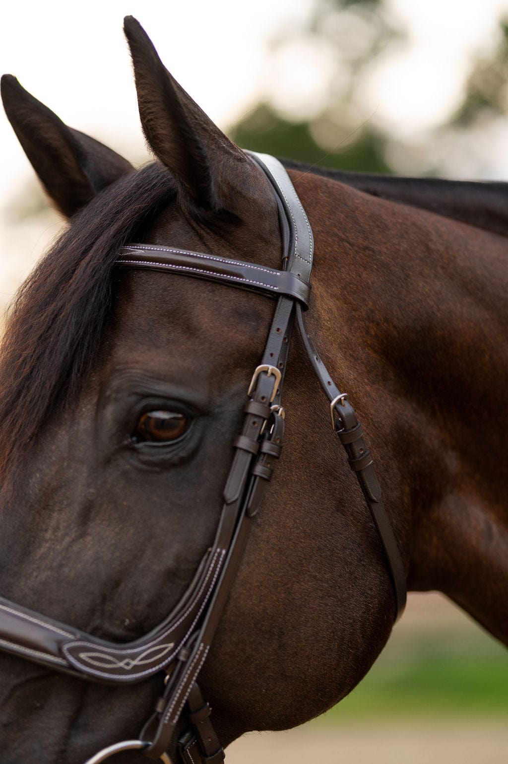 F.R.E Fancy Stitch Ergonomic Bridle