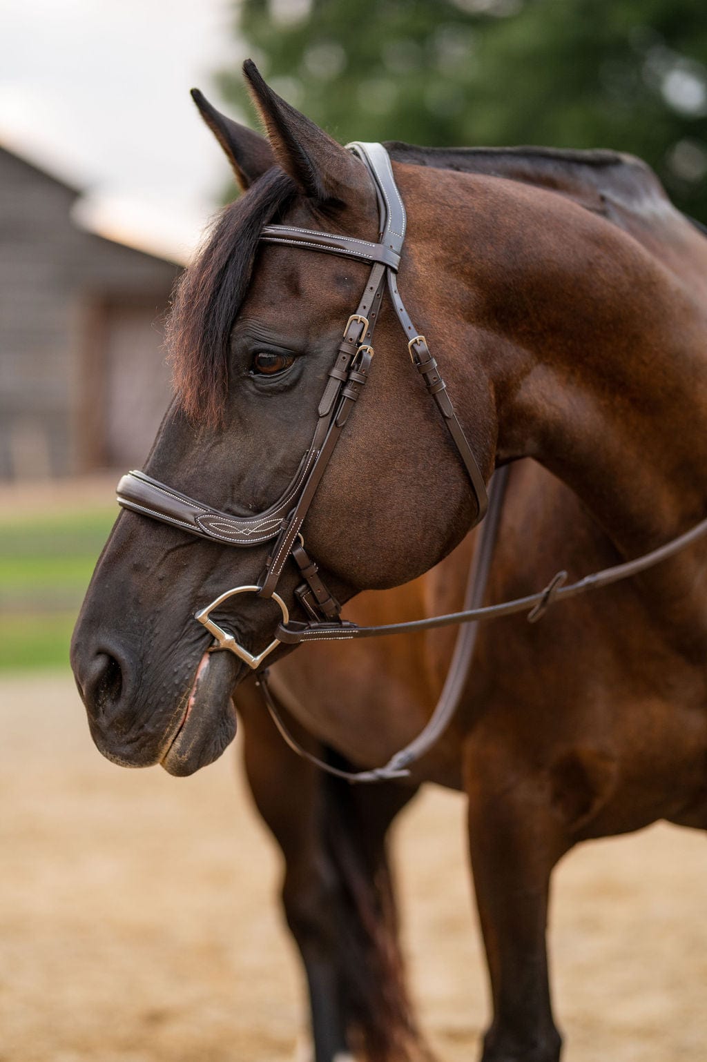 F.R.E Fancy Stitch Ergonomic Bridle