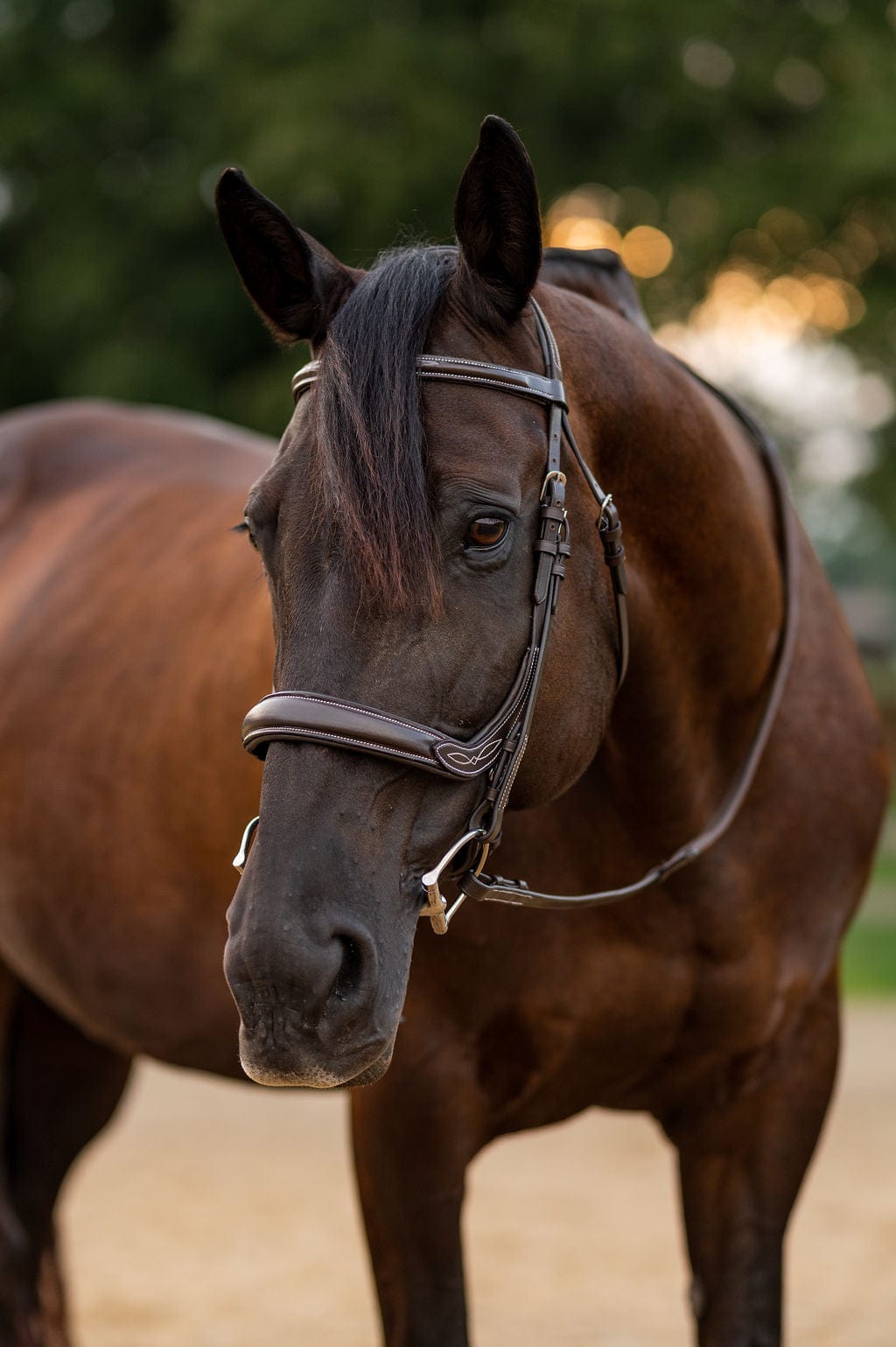 F.R.E Fancy Stitch Ergonomic Bridle