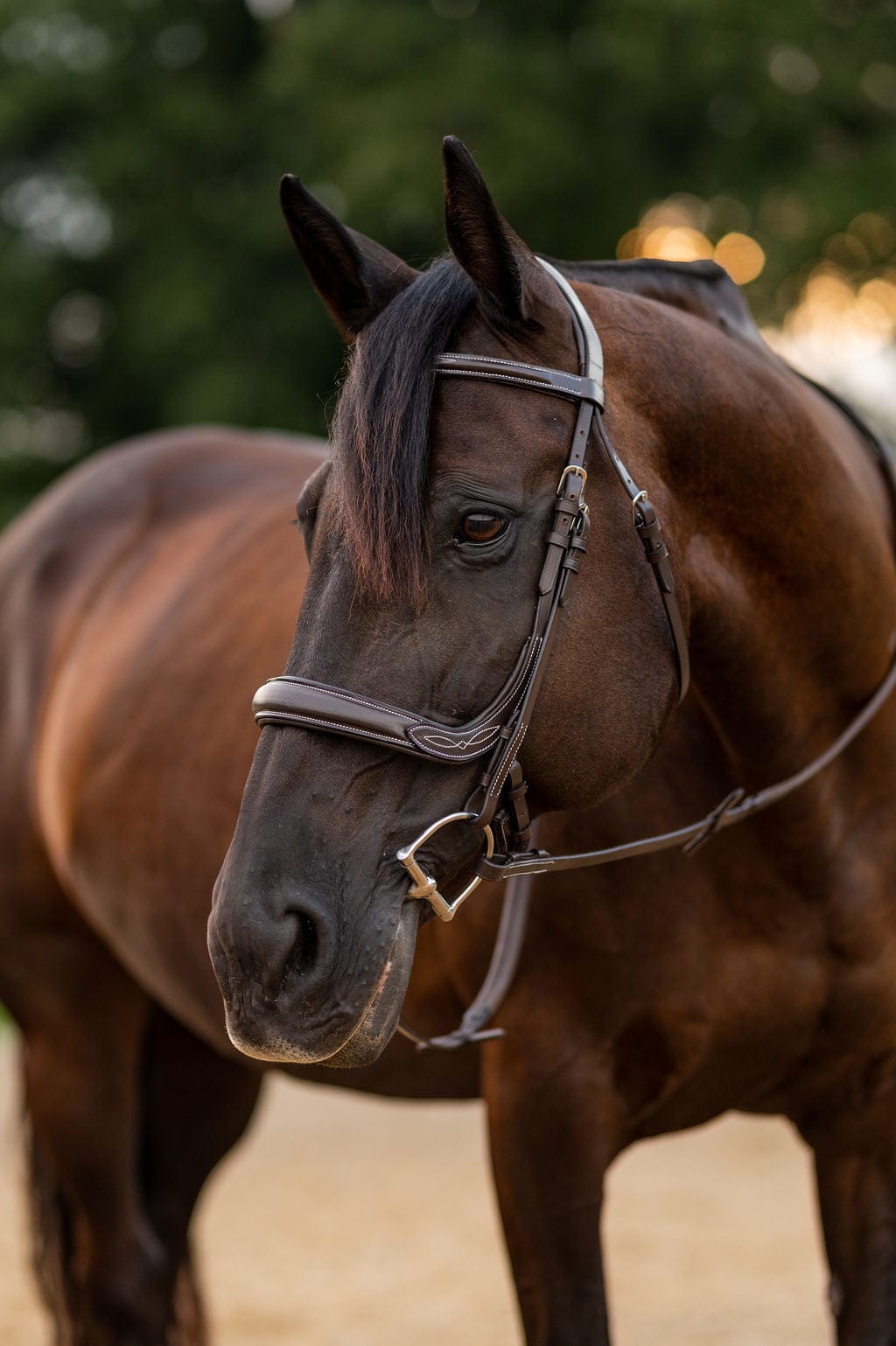 F.R.E Fancy Stitch Ergonomic Bridle