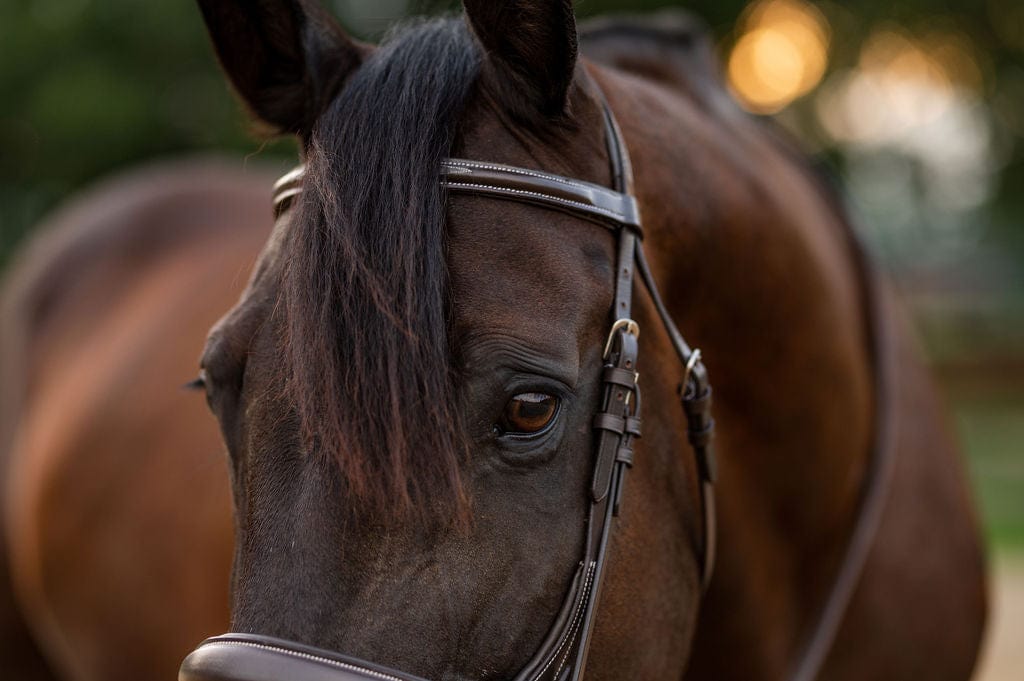 F.R.E Fancy Stitch Ergonomic Bridle